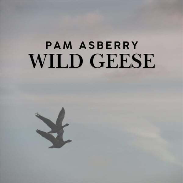 Cover art for Wild Geese